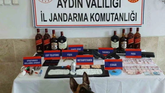 Nazilli'de uyuşturucu baskını: 1 gözaltı