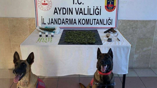 Nazilli'de uyuşturucu operasyonu: 2 gözaltı