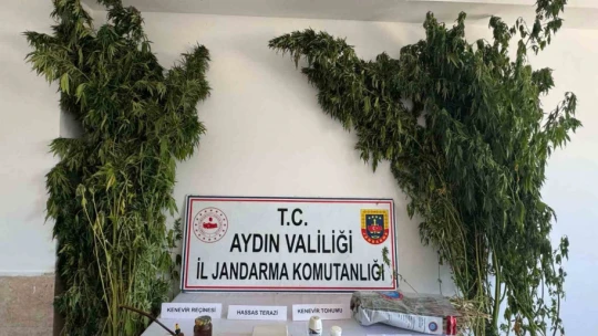 Nazilli'de uyuşturucu operasyonu