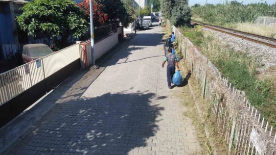 Nazilli'de yabani otlar temizleniyor