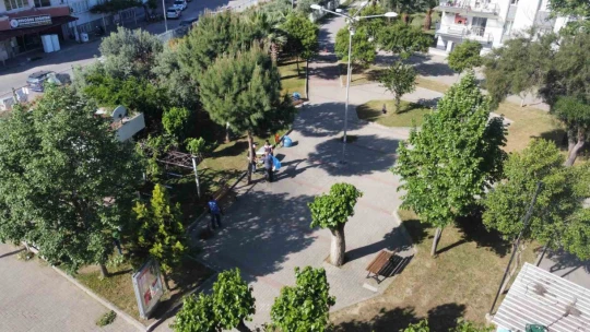 Nazilli'de yabani otlar temizleniyor
