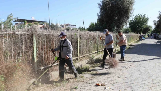 Nazilli'de yabani otlar temizleniyor