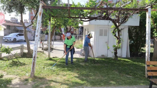 Nazilli'de yabani otlar temizleniyor