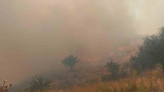 Nazilli'de zirai alan yangını