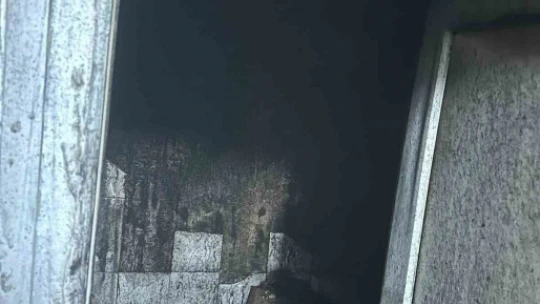 Nazilli'deki ekmek fırınında çıkan yangın panikletti