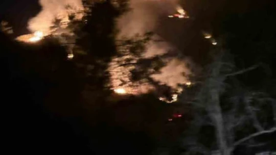 Nazilli'deki orman yangını kontrol altına alındı