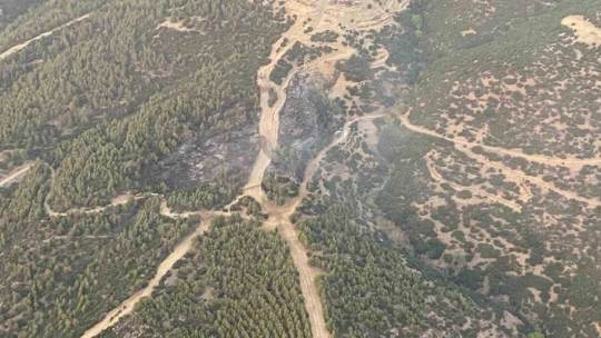 Nazilli'deki orman yangınında 3 hektar alan zarar gördü