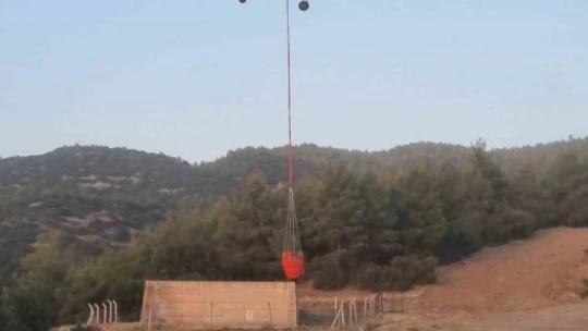 Nazilli'deki orman yangınında 3 hektar alan zarar gördü