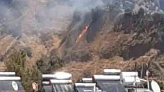 Nazilli'deki yangında 1 hektar alan zarar gördü
