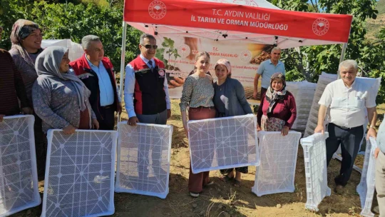 Nazilli Kaymakamı Kan, incir hasadına katıldı