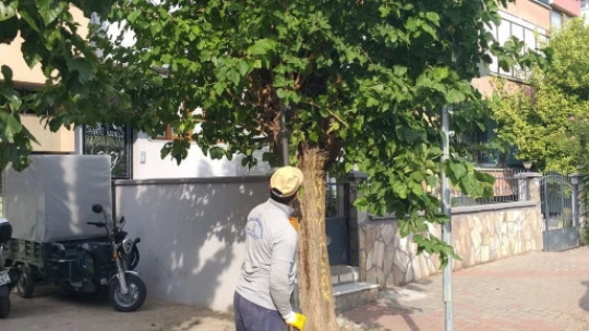 Nazilli kışa hazırlanıyor