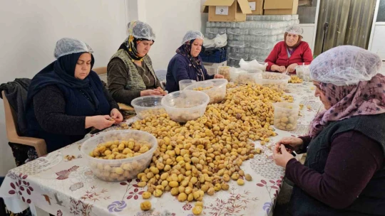 Nazilli'nin kestane şekeri, Uzak Doğu sofralarını süslüyor
