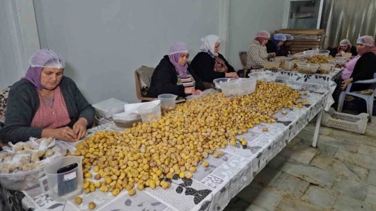 Nazilli'nin Kestane Şekeri, Uzakdoğu sofralarını süslüyor