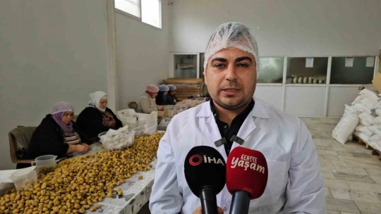 Nazilli'nin Kestane Şekeri, Uzakdoğu sofralarını süslüyor