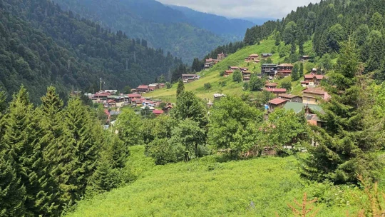 Nazilli'nin sıcağından kaçıp Karadeniz'de serinlediler