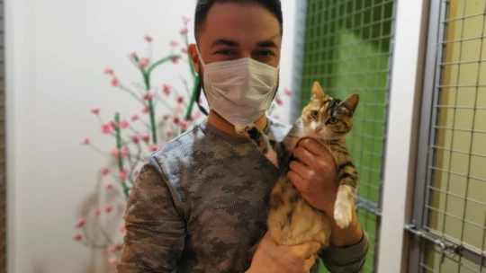 Nazilli'nin ilk kedi oteli açıldı