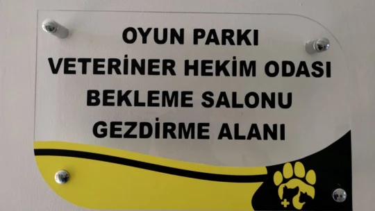 Nazilli'nin ilk kedi oteli açıldı