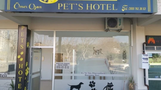 Nazilli'nin ilk kedi oteli açıldı