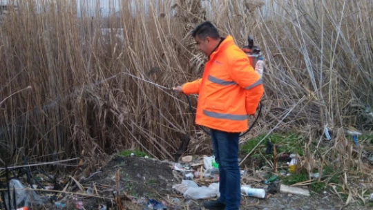 Nazilli'de larva mücadelesi başladı