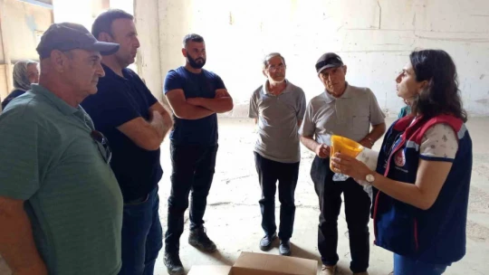 Nazillili üreticilere 2 bin tuzak dağıtıldı