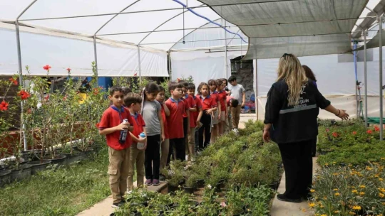 Öğrenciler Büyükşehir Belediyesi'nin fidanlığında ders işledi