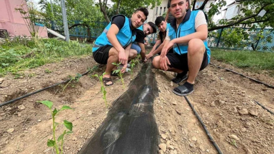 Öğrenciler yurt bahçesine sebze fidesi dikti