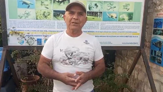 Ölü olarak bulunan caretta, dalgıçlar tarafından karaya çıkarıldı