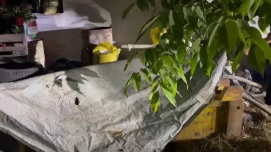 Önce keşif yaptılar sonra çaldılar, jandarmadan kaçamadılar
