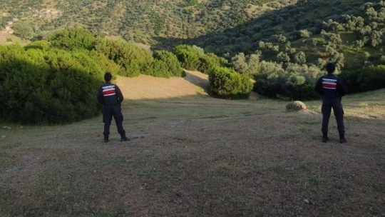 Orman yangınlarına karşı jandarmadan sıkı denetim