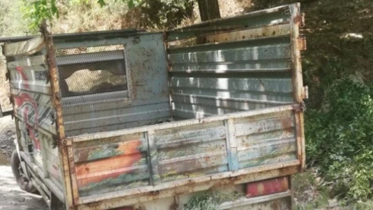 Ormanda kaçak ağaç kesen 3 şahıs yakalandı
