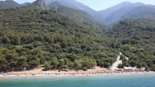 Ormanların koruyucuları iş başında