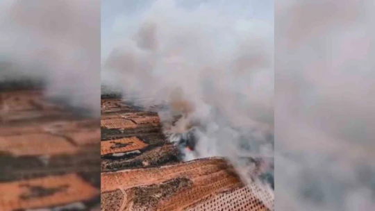 Ormanlık alana sıçrayan yangın havadan görüntülendi