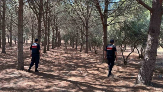 Ormanlık alanlara sıkı denetim