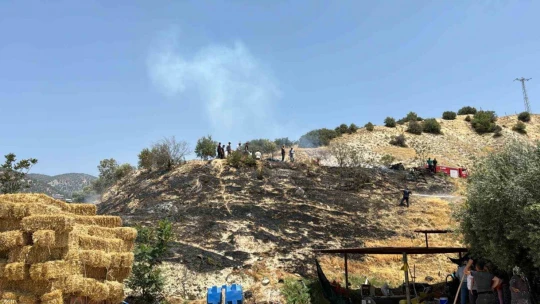 Otluk alanda çıkan yangın büyümeden söndürüldü