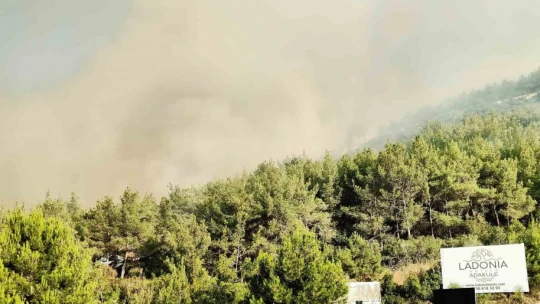 Pamucak'tan Kuşadası'na sıçrayan yangını söndürme çalışmaları devam ediyor