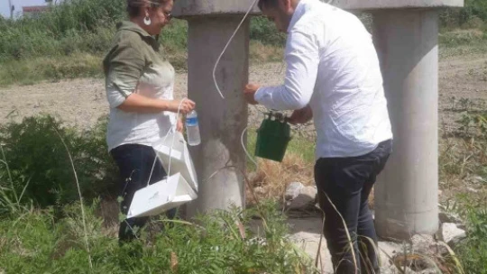 Pamuk zararlıları ile mücadele sürüyor