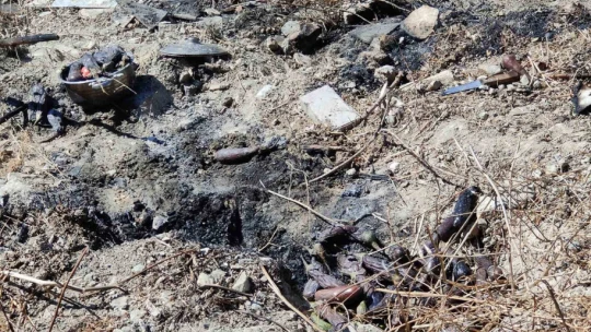 Patlıcan közlerken uçurumdan yuvarlandı