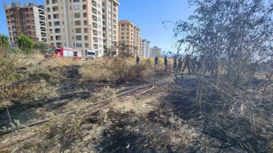Patlıcan közlerken uçurumdan yuvarlandı