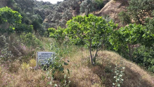 Paylaşmanın önemini gösteren yazı görenlerin içini ısıttı