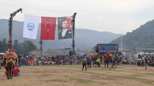Pehlivan develer Bağarası'nda güreşti