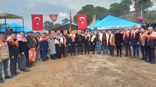 Pehlivan develer Köşk arenasında kozlarını paylaaştı
