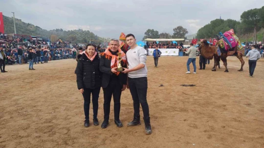 Pehlivan develer Köşk arenasında kozlarını paylaaştı