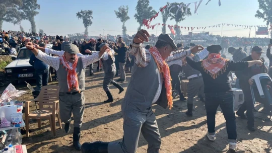 Pehlivan develer yılın ilk güreşinde İncirliova'da kozlarını paylaştı
