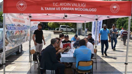 Pilot il Aydın'da su ürünleri tüketici alışkanlıkları anketi uygulanıyor