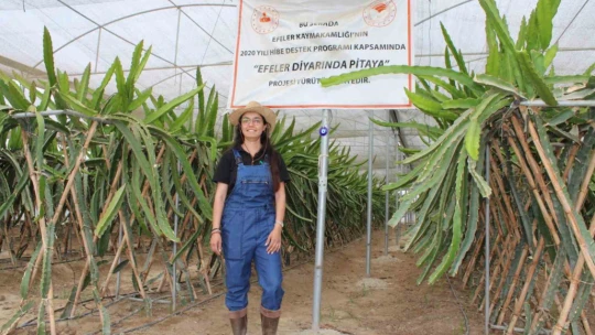 Plaza hayatını bıraktı huzuru tarımda buldu