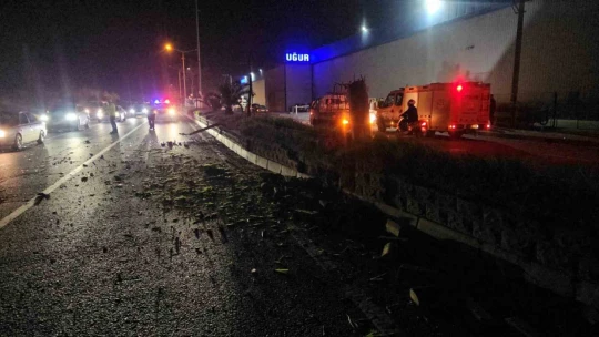 Refüjdeki direği deviren otomobil ters döndü: 1 yaralı
