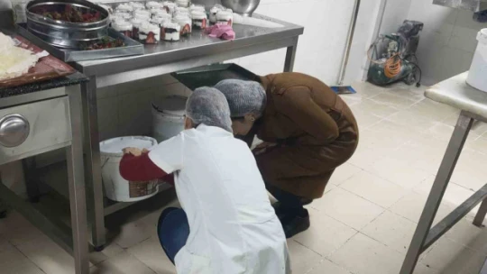 Riske dayalı gıda işletmeleri denetlendi
