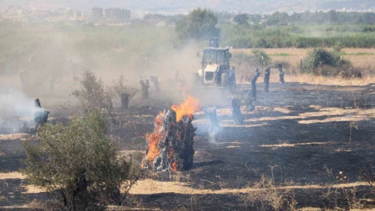 Rüzgarla büyüyen yangın, hayvan çiftliğini tehdit etti