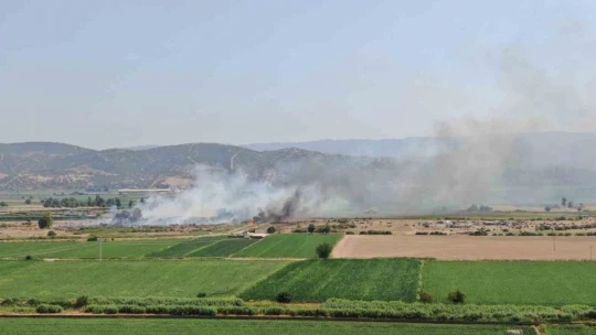 Rüzgarla büyüyen yangın, hayvan çiftliğini tehdit etti