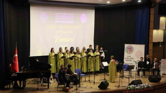 Sanat Festivali'nin ikinci günü coşkulu konserle tamamlandı